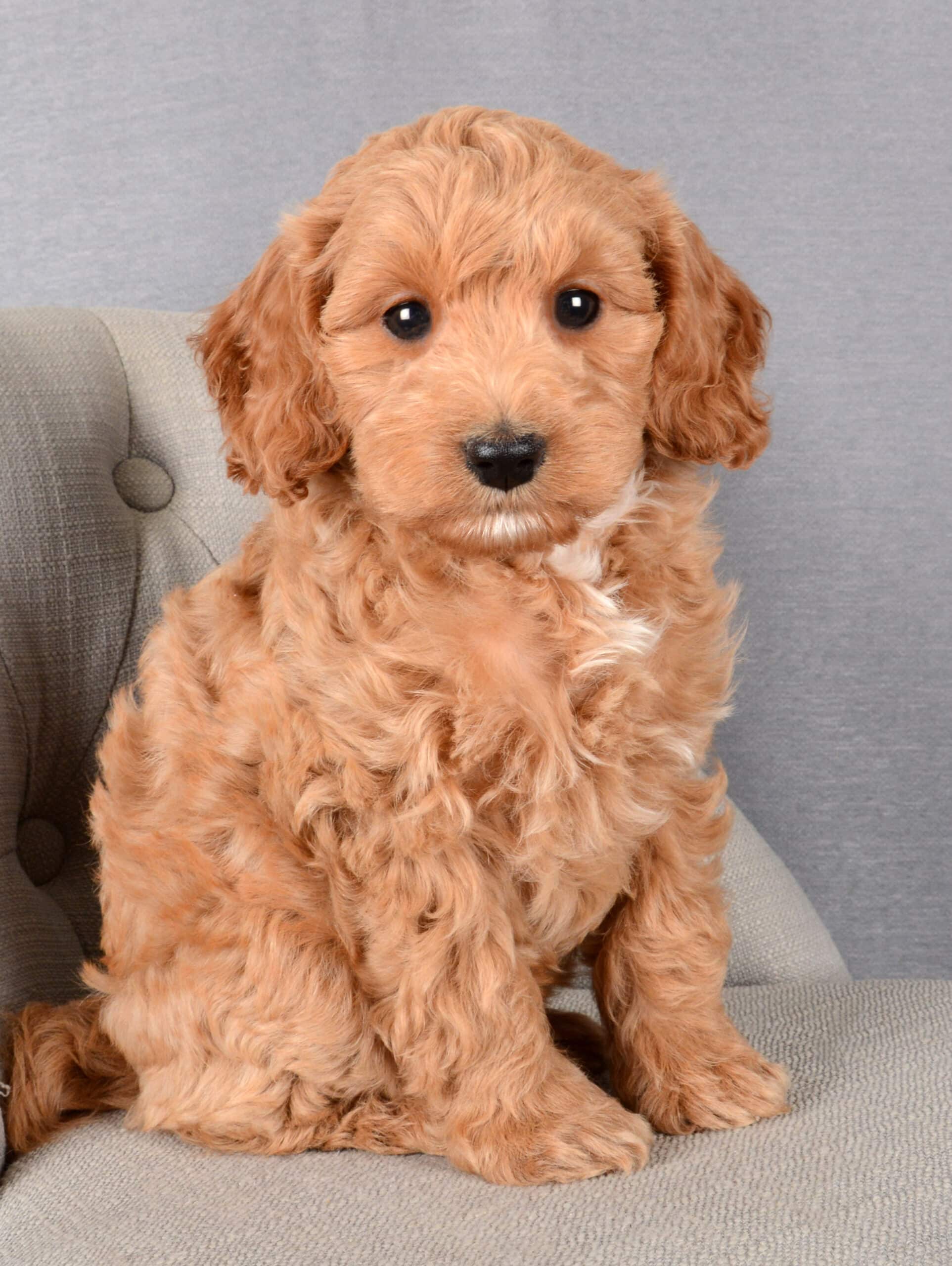 Mildred